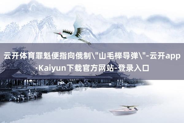 云开体育罪魁便指向俄制＂山毛榉导弹＂-云开app·Kaiyun下载官方网站-登录入口