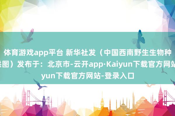 体育游戏app平台 新华社发（中国西南野生生物种质资源库供图）发布于：北京市-云开app·Kaiyun下载官方网站-登录入口